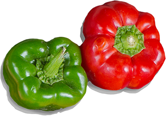 Paprika rot und grün